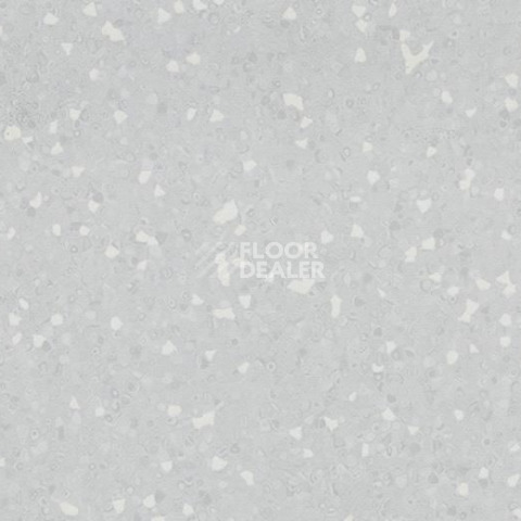 Линолеум Forbo Sphera Sd 550003 light neutral grey фото 1 | FLOORDEALER